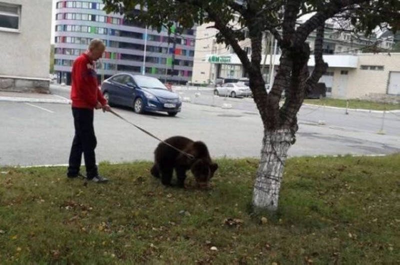Прикольные картинки