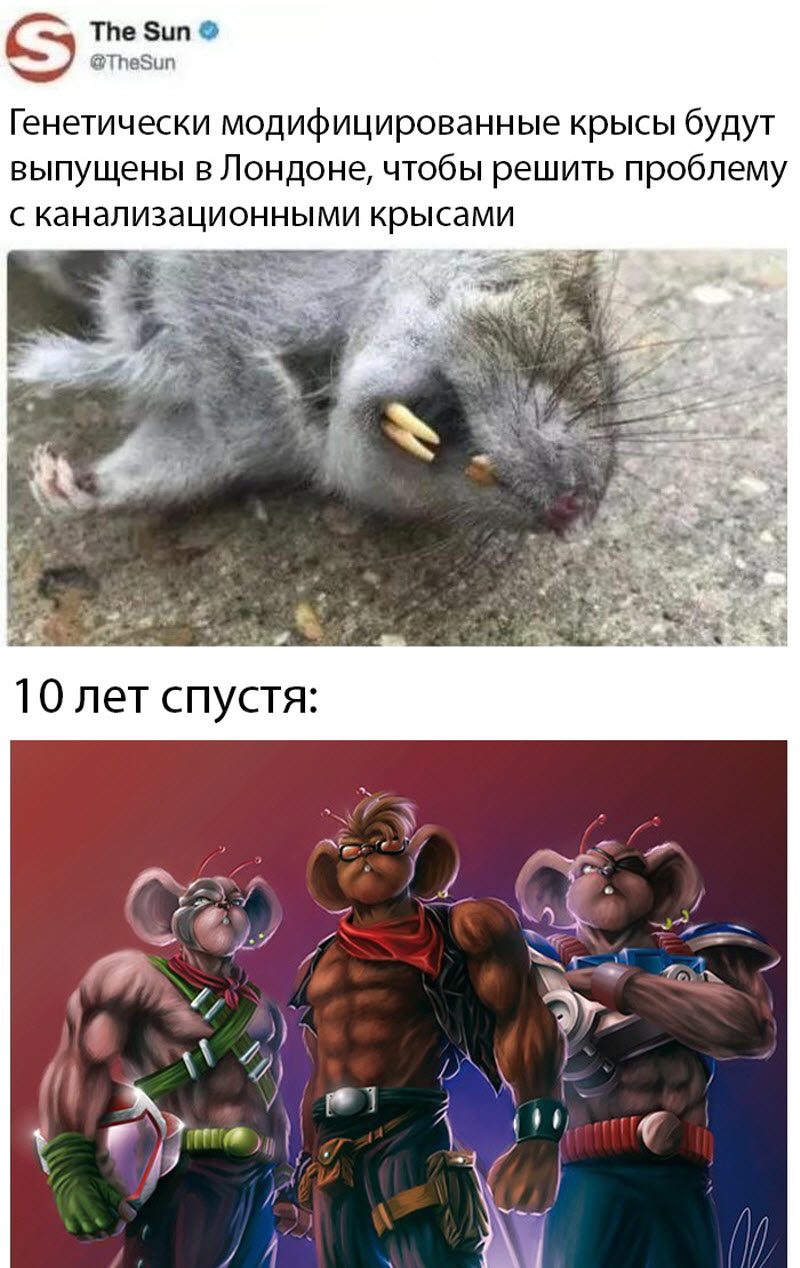 Прикольные картинки