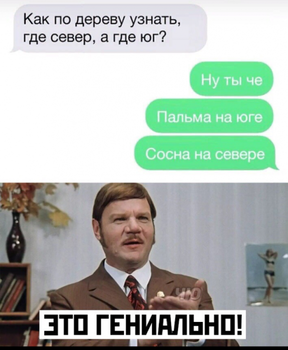 Забавные картинки
