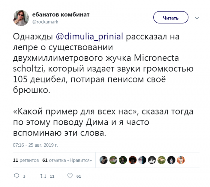 Забавные картинки