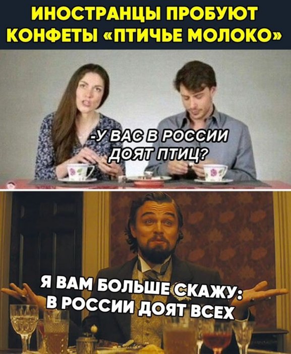 Забавные картинки
