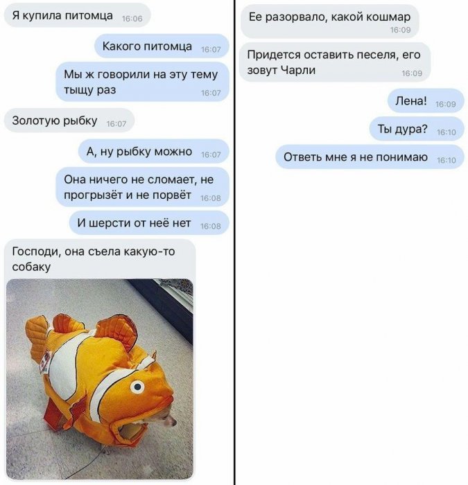 Забавные картинки