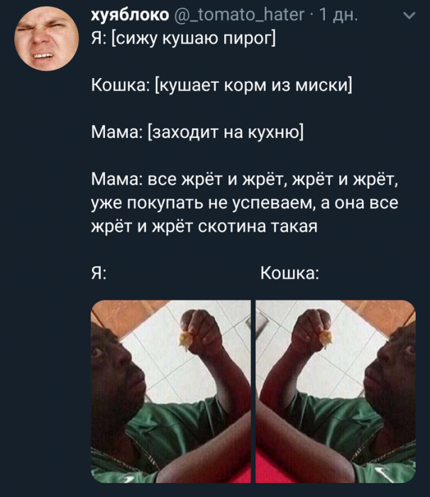 Забавные картинки