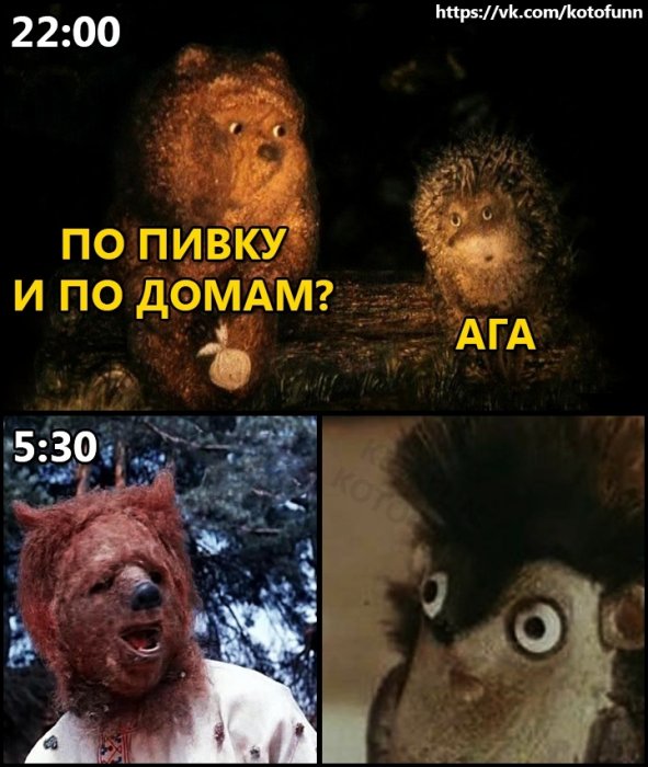 Забавные картинки