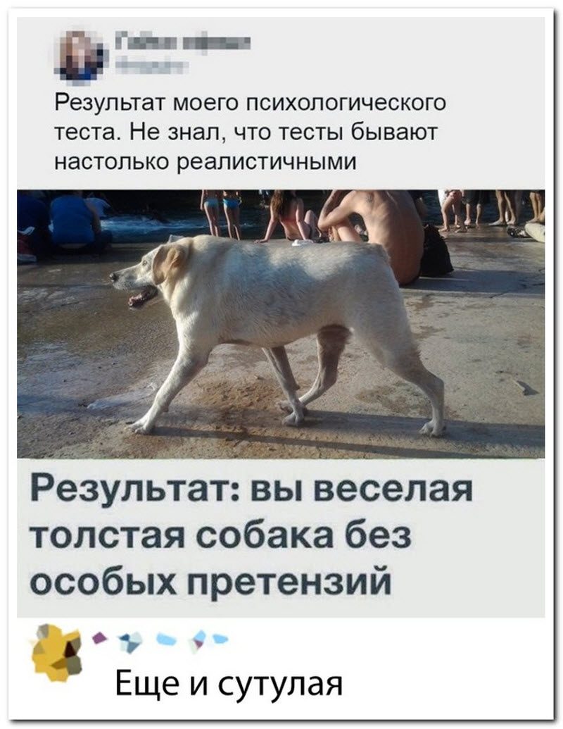 Забавные комментарии из социальных сетей