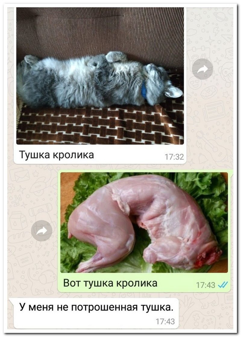 Забавные комментарии из социальных сетей