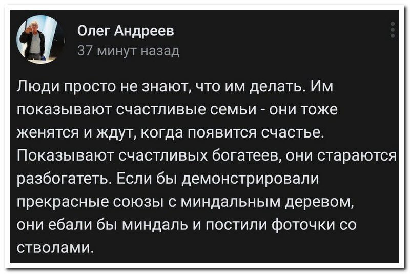 Забавные комментарии из социальных сетей