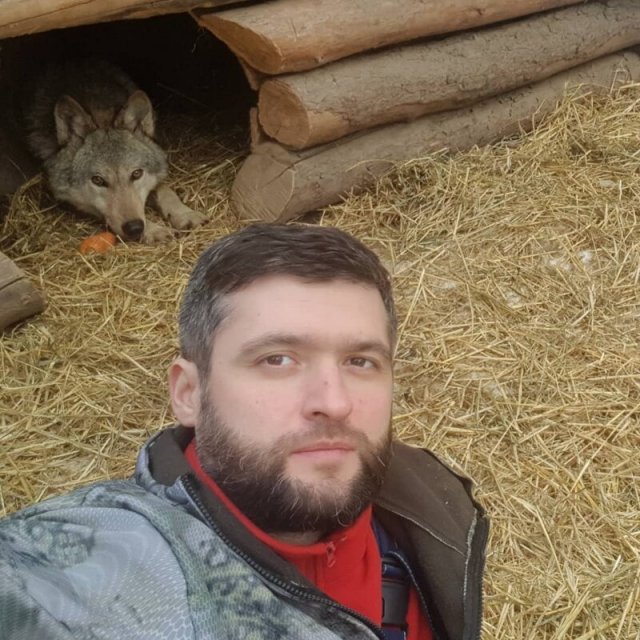 Бизнесмен, приручивший волков, набирает популярность в «Инстаграме»