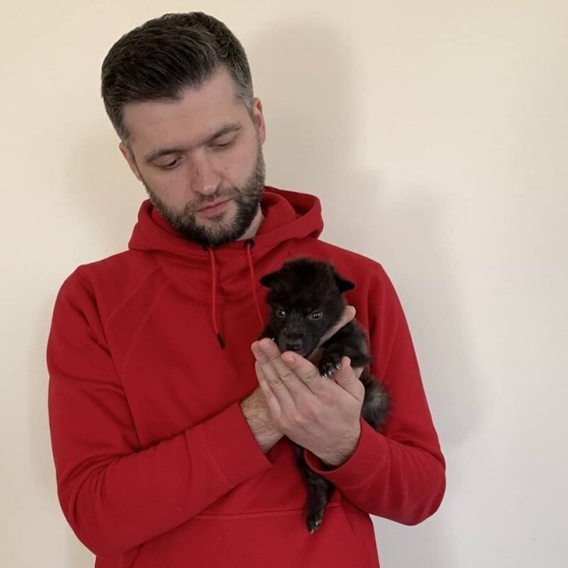 Бизнесмен, приручивший волков, набирает популярность в «Инстаграме»