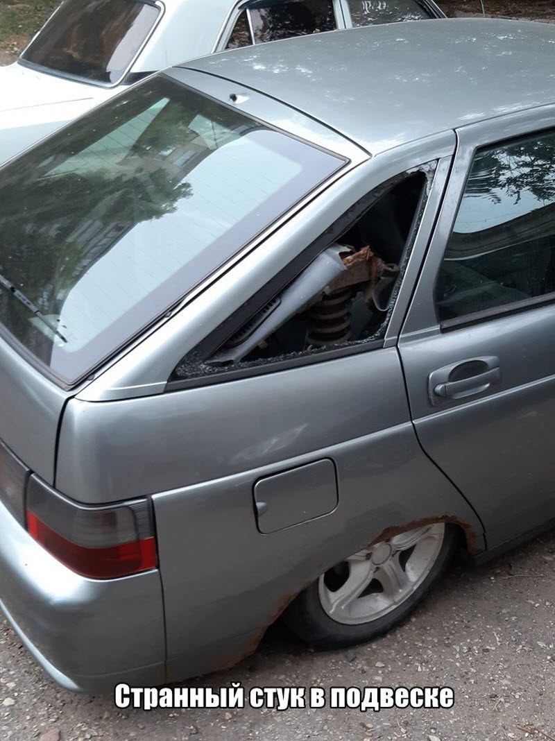 Прикольные картинки
