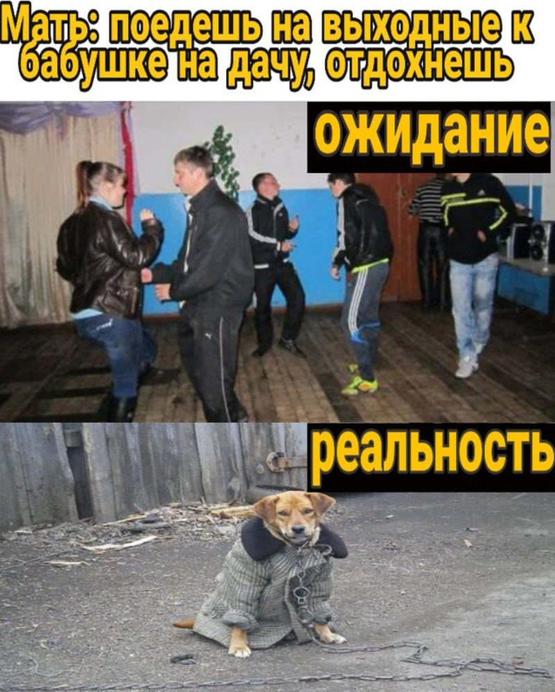 Прикольные картинки
