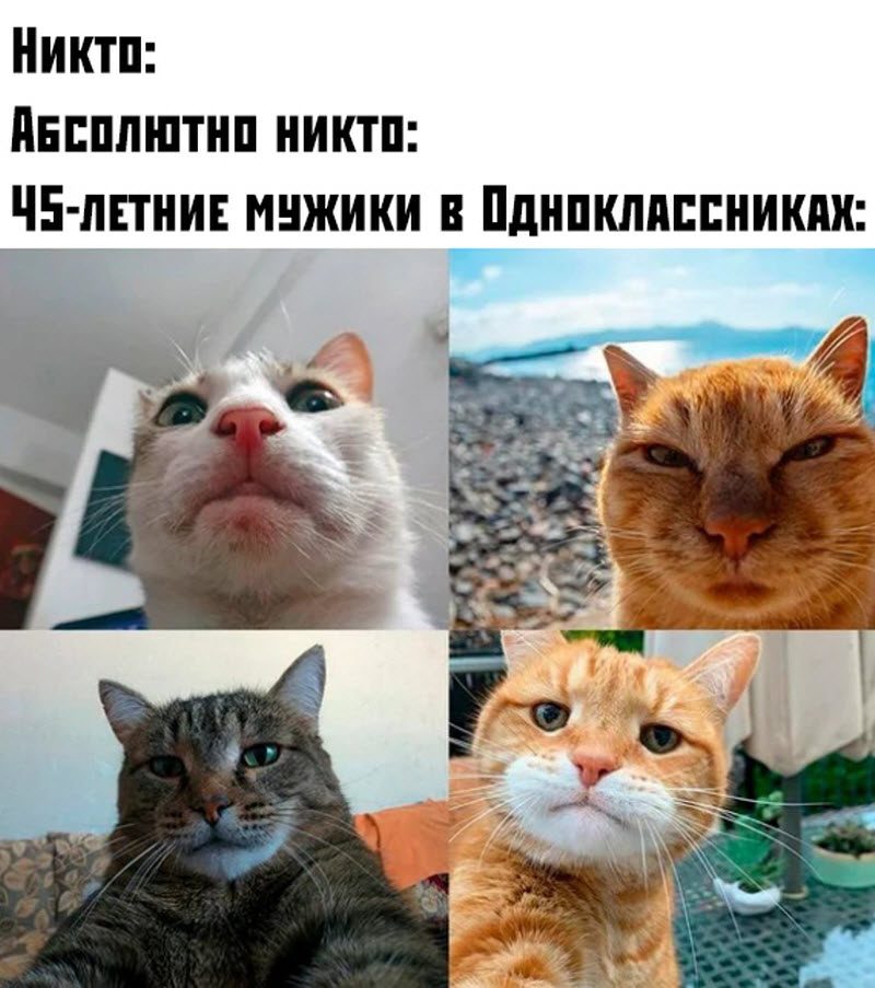 Прикольные картинки