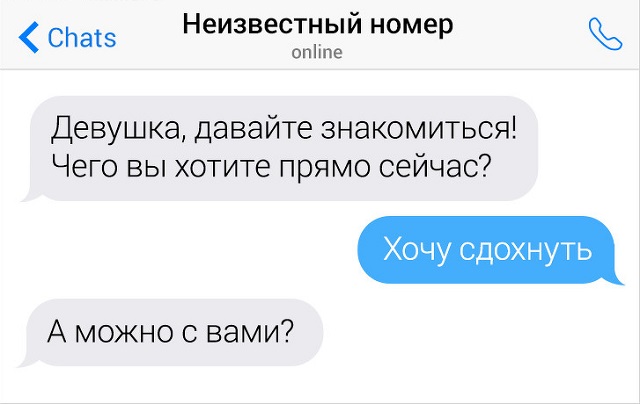 Забавные переписки, в которых случилось столкновение женской и мужской логики