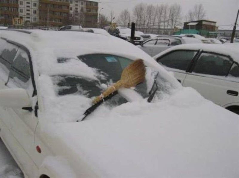 Прикольные картинки