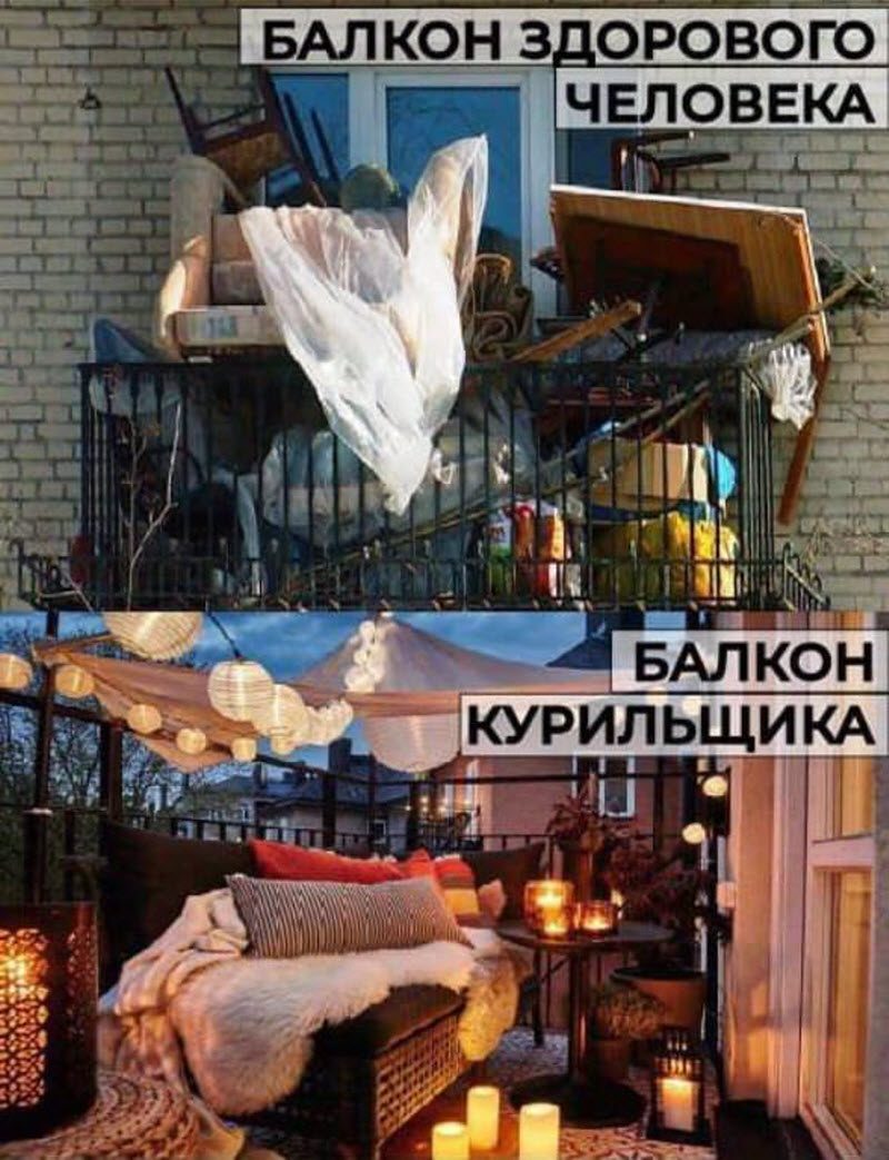 Прикольные картинки