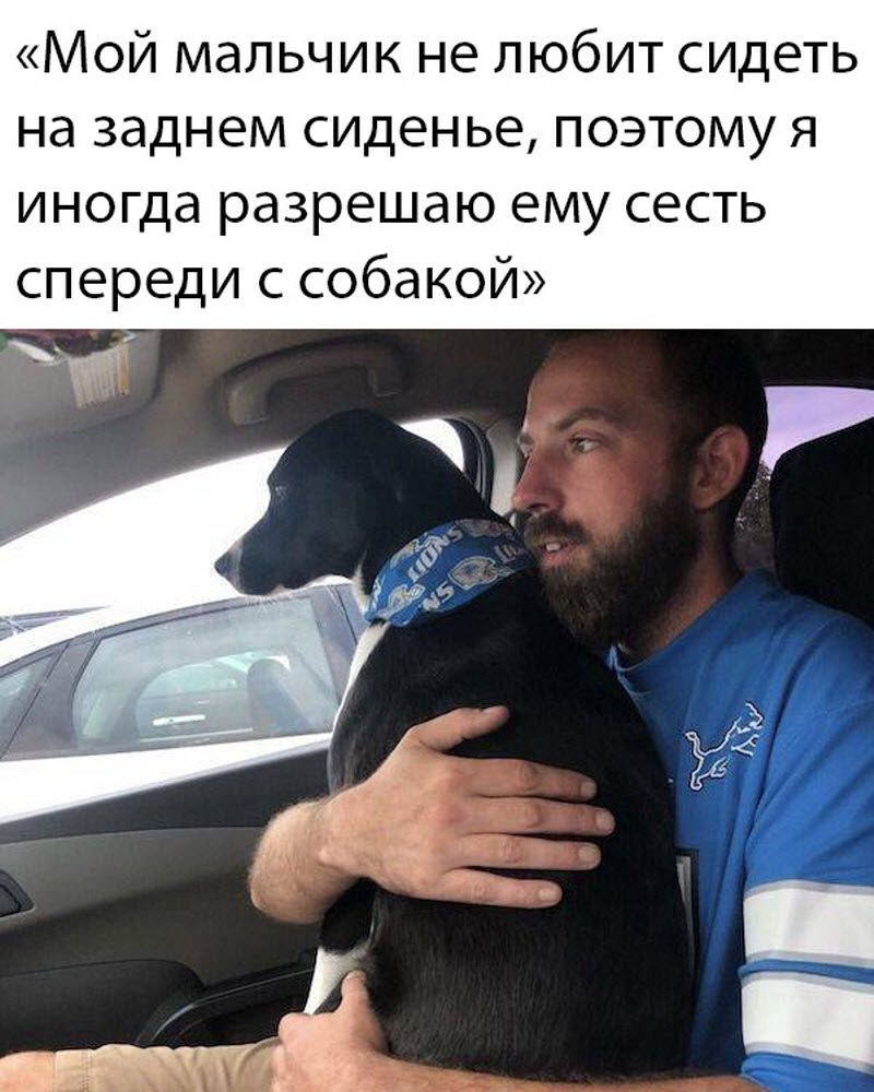 Прикольные картинки
