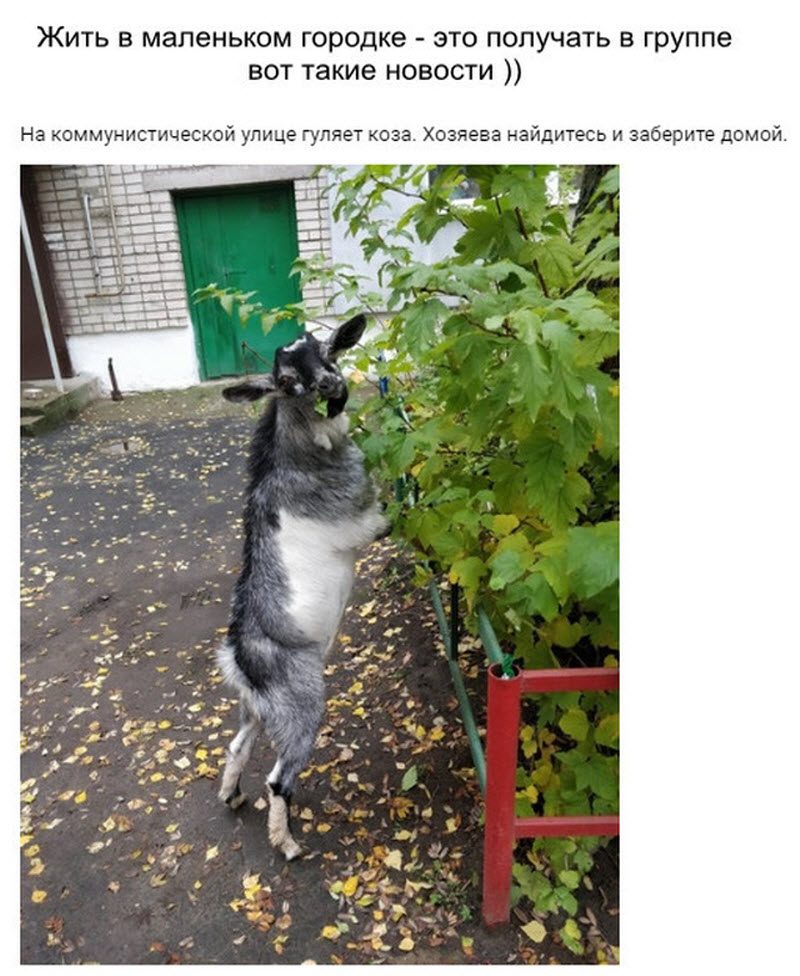 Прикольные картинки