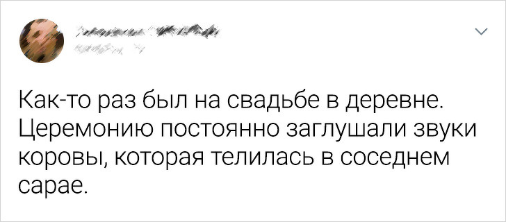 Свадьбы, где все идет не по плану Свадьбы, где все идет не по плану