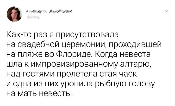 Свадьбы, где все идет не по плану Свадьбы, где все идет не по плану