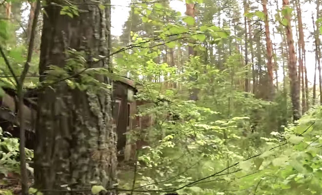 25 лет без людей и связи