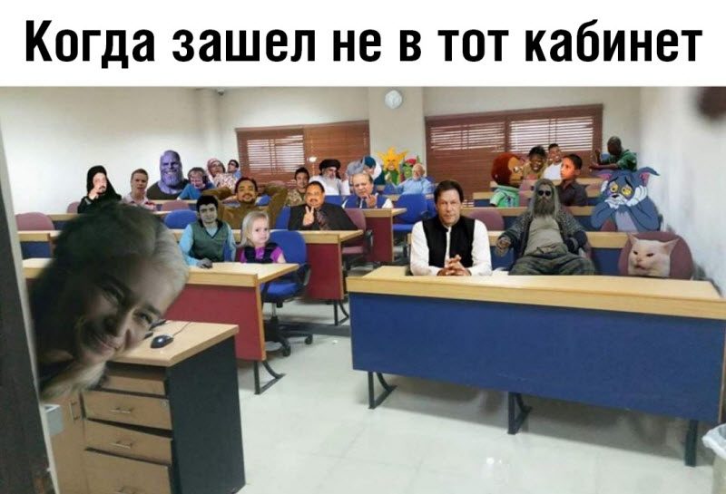 Прикольные картинки