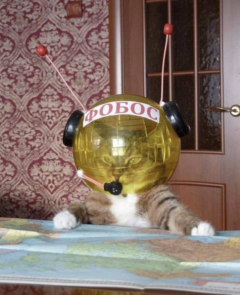 Прикольные картинки