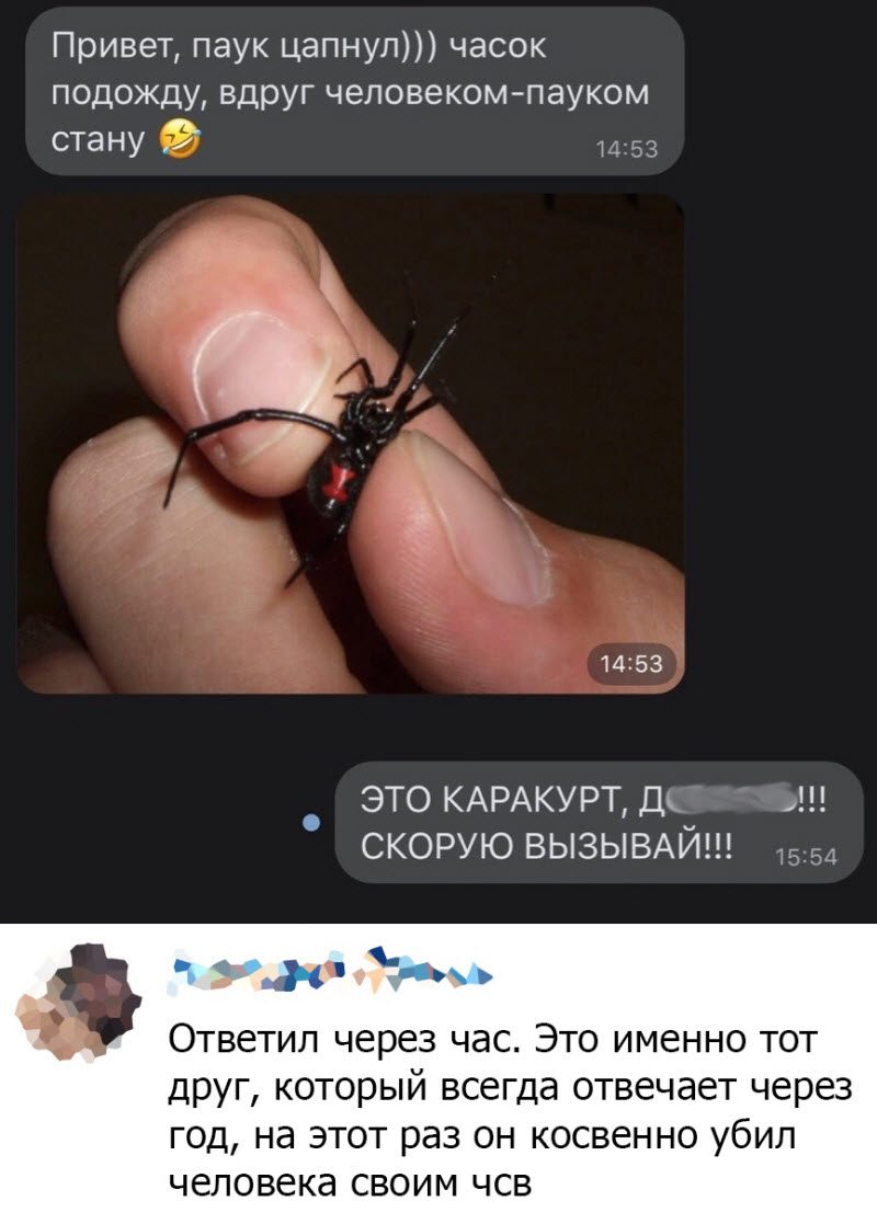 Прикольные картинки
