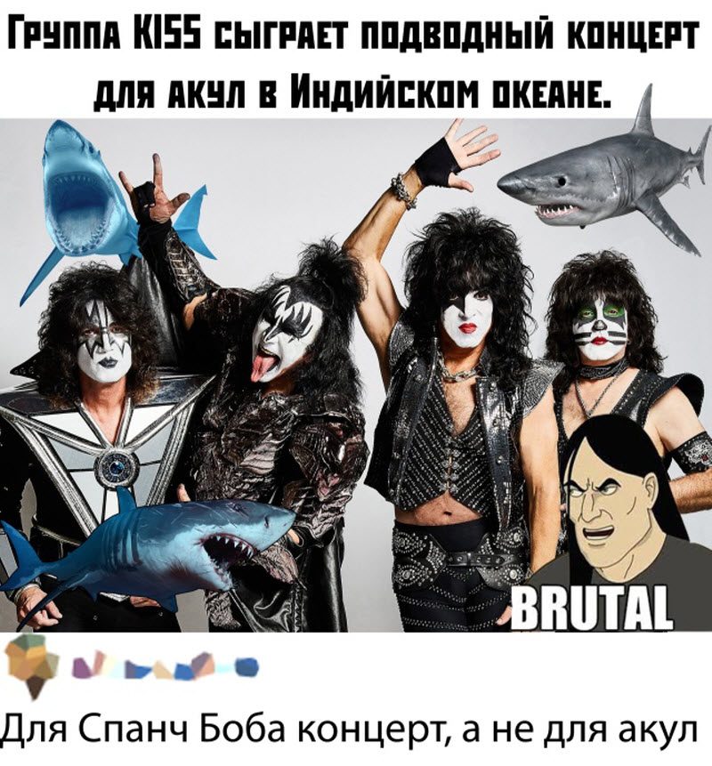 Прикольные картинки