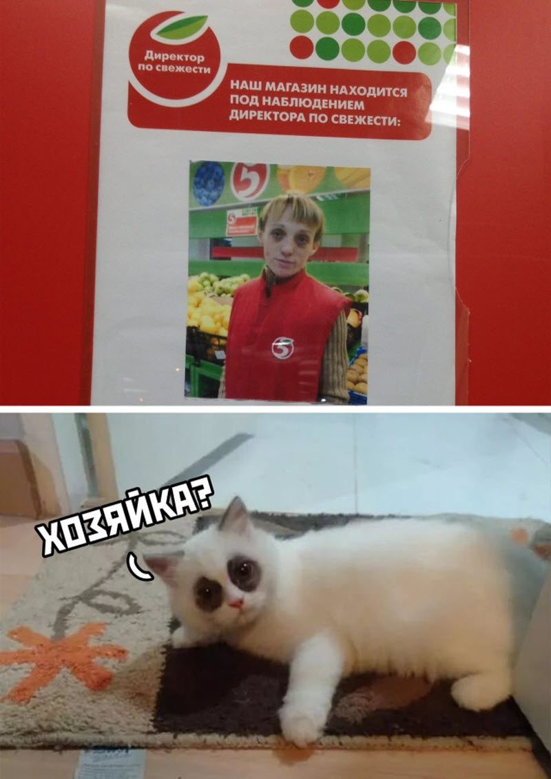 Прикольные картинки