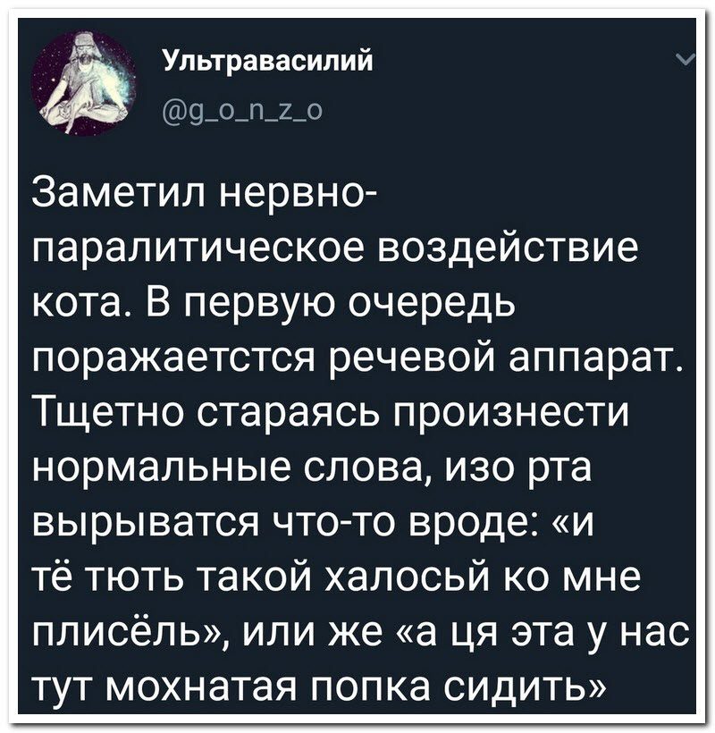 Забавные комментарии из социальных сетей