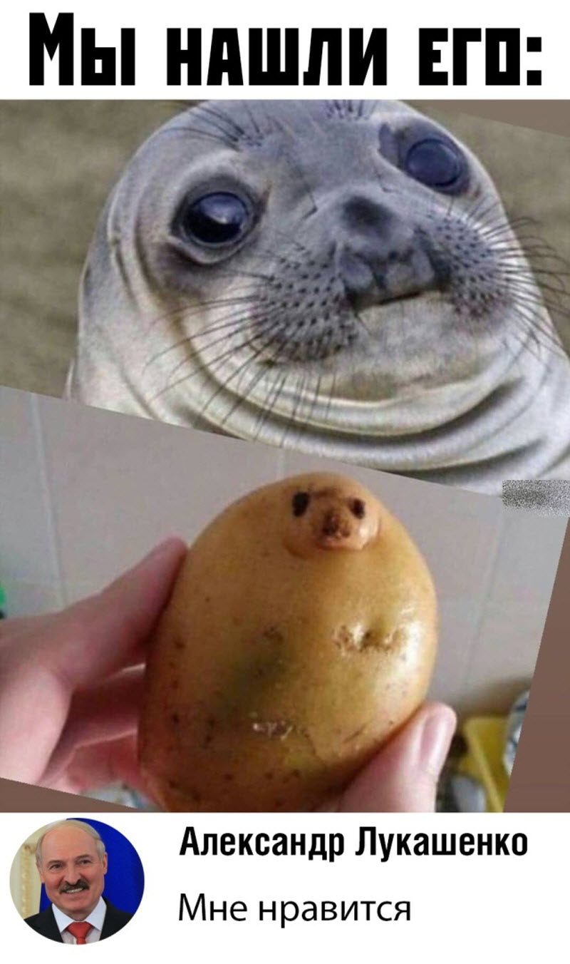 Прикольные картинки