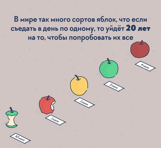 Подборка интересных фактов о нашем мире, которые удивят даже "всезнайку"