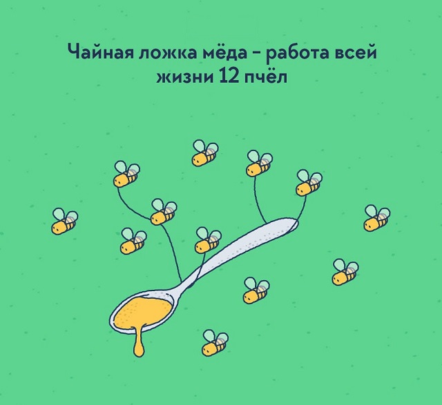 Подборка интересных фактов о нашем мире, которые удивят даже "всезнайку"