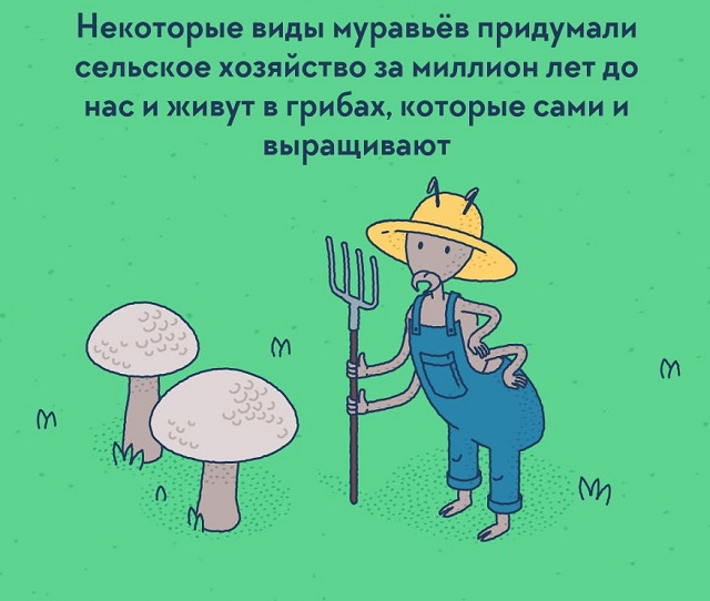 Подборка интересных фактов о нашем мире, которые удивят даже "всезнайку"