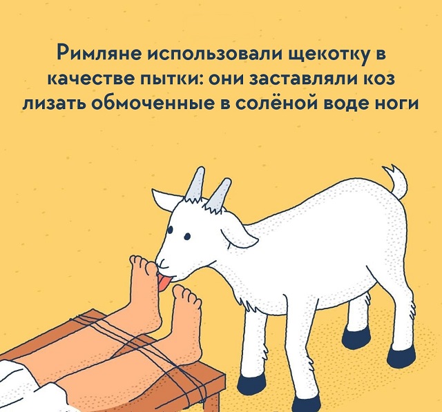 Подборка интересных фактов о нашем мире, которые удивят даже "всезнайку"