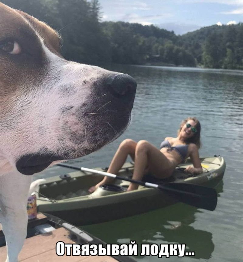 Прикольные картинки