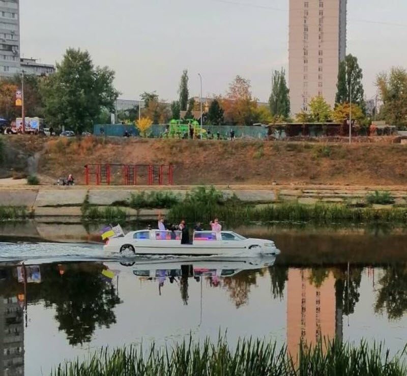 Прикольные картинки