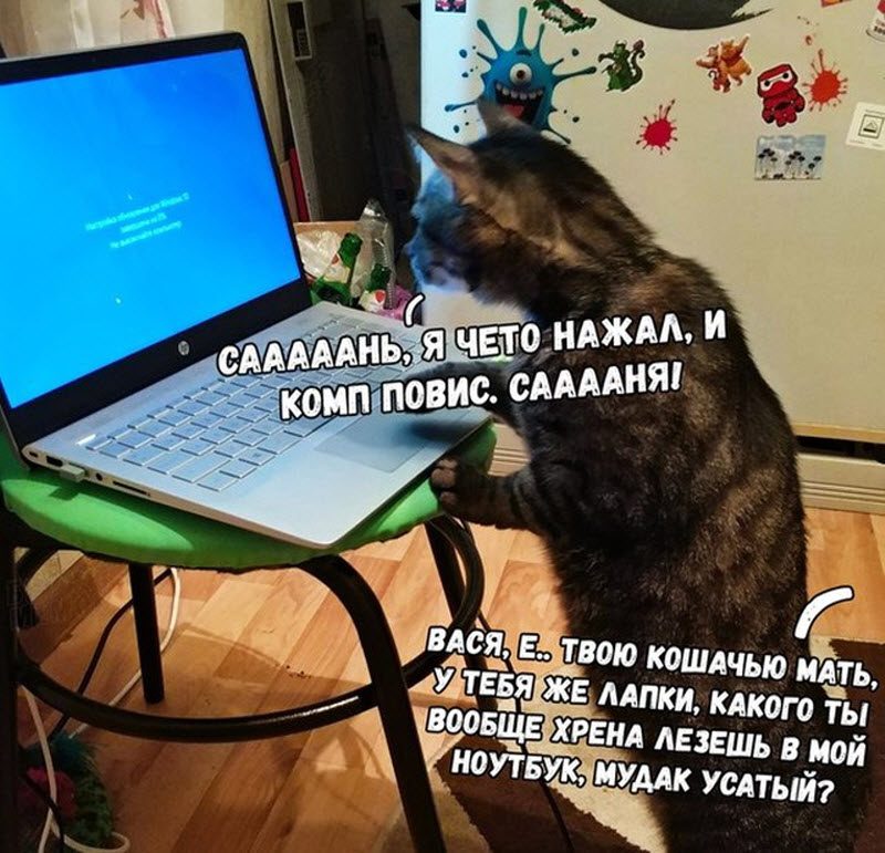 Прикольные картинки