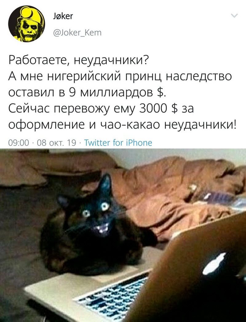 Прикольные картинки