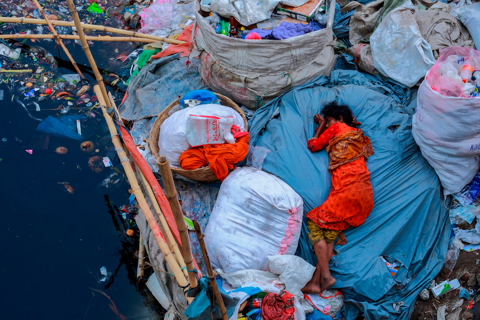 Экологический фотограф 2019 года Экологический фотограф 2019 года