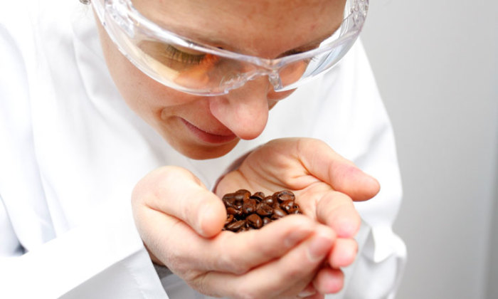 Занимательные факты про шоколад Занимательные факты про шоколад