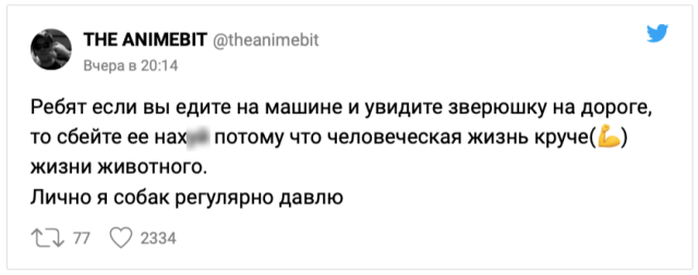 Новый скандал в Сети: блогерша призвала жертвовать жизнью животных на дорогах ради своего спасения Новый скандал в Сети: блогерша призвала жертвовать жизнью животных на дорогах ради своего спасения