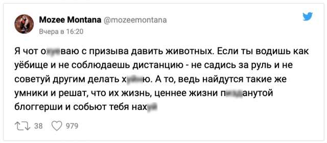 Новый скандал в Сети: блогерша призвала жертвовать жизнью животных на дорогах ради своего спасения Новый скандал в Сети: блогерша призвала жертвовать жизнью животных на дорогах ради своего спасения