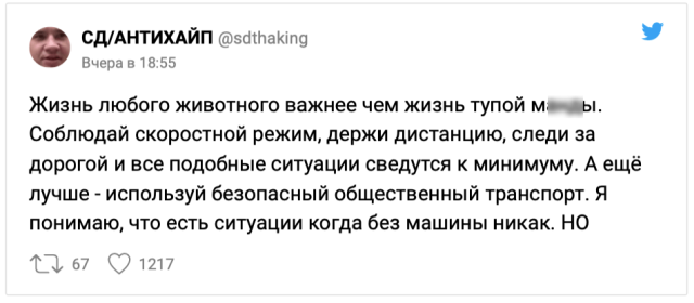 Новый скандал в Сети: блогерша призвала жертвовать жизнью животных на дорогах ради своего спасения Новый скандал в Сети: блогерша призвала жертвовать жизнью животных на дорогах ради своего спасения
