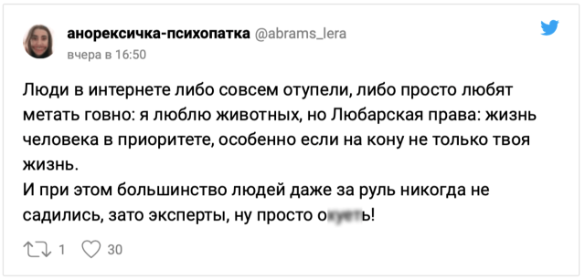 Новый скандал в Сети: блогерша призвала жертвовать жизнью животных на дорогах ради своего спасения Новый скандал в Сети: блогерша призвала жертвовать жизнью животных на дорогах ради своего спасения