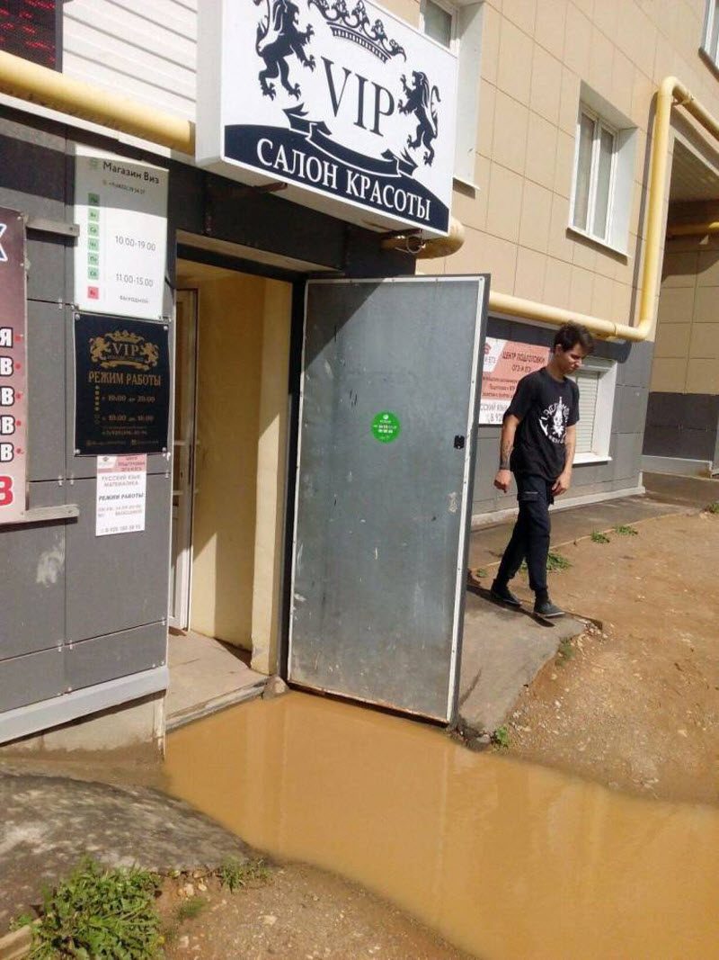 Прикольные картинки