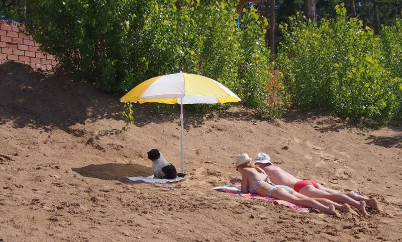 Прикольные картинки