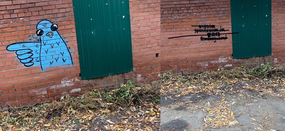 Улицы Челябинска заполонили необычные рисунки