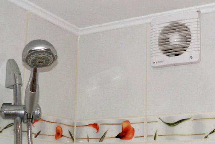 Советы, которые помогут защитить ванную комнату от плесени и грибка Советы, которые помогут защитить ванную комнату от плесени и грибка