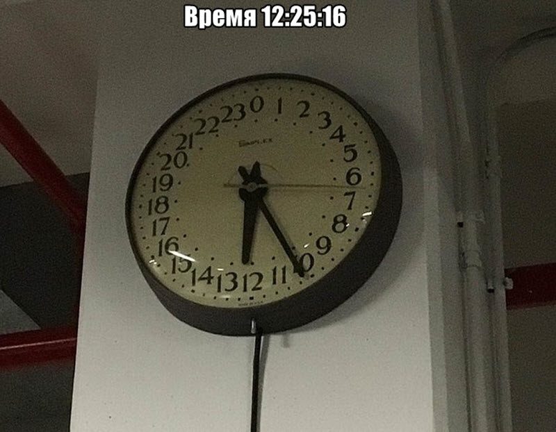 Прикольные картинки